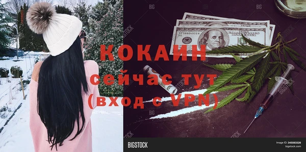 прущая мука Арсеньев